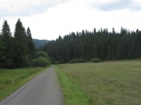 img_7479_resize.jpg