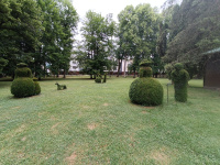 img_20250628_080949.jpg