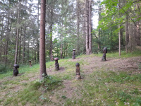20250719_181329.jpg