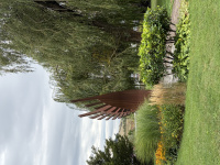 img_1056.jpeg