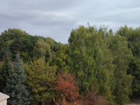 img_20261010_121056.jpg