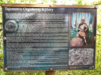 p1110354.jpg
